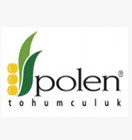 Polen Tohum